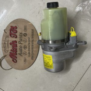 Bơm trợ lục forcus điện