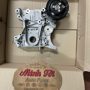 BƠM DẦU CRUZE,CDX(LIỀN BƠM NƯỚC)
